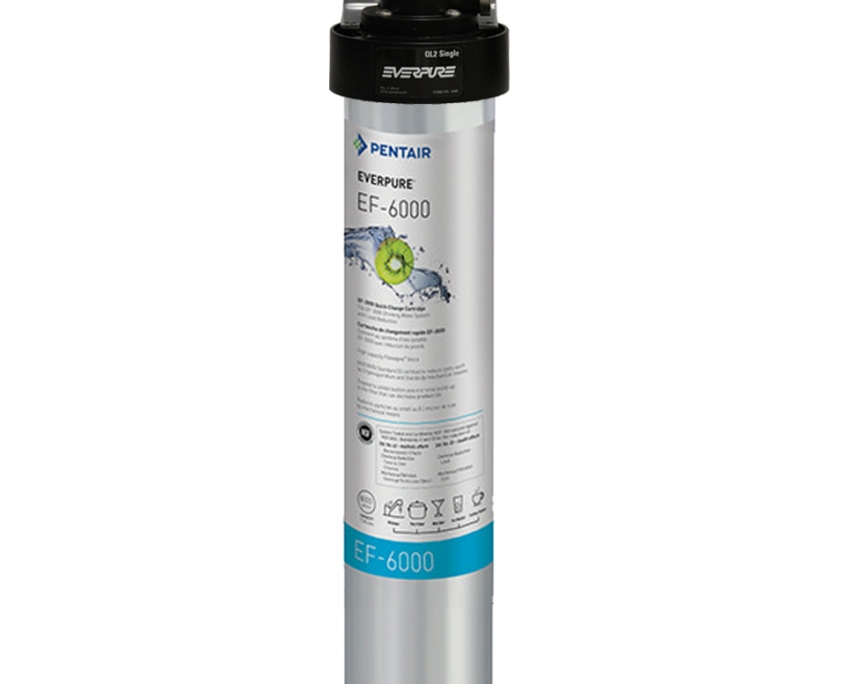 Everpure EF6000 Water Filter System